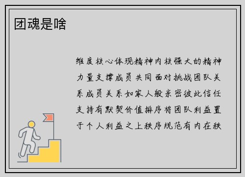 团魂是啥